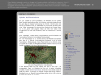 magmatism.blogspot.com Webseite Vorschau