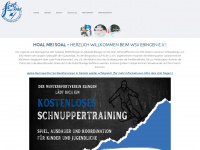 wintersportvereinebingen.de Webseite Vorschau
