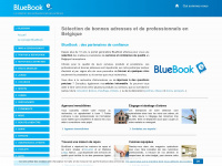 bluebook.be Webseite Vorschau
