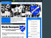 svfischbach.com Webseite Vorschau