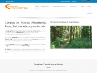 campingplayadevega.com Webseite Vorschau