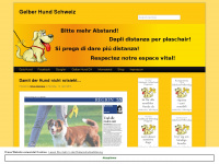 gelberhund.ch Webseite Vorschau