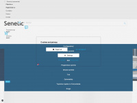 senetic.si Webseite Vorschau