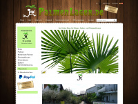 palmenlager.de Webseite Vorschau