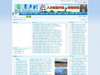 wanmei99.net Webseite Vorschau