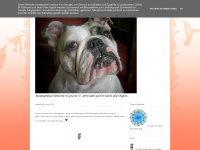 francien-bulldogmeis.blogspot.com