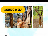 guido-wolf.de Webseite Vorschau