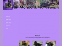 vanmoned.com Webseite Vorschau
