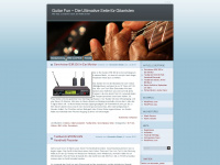 guitaraction.wordpress.com Webseite Vorschau