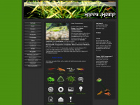 happy-shrimp.net Webseite Vorschau