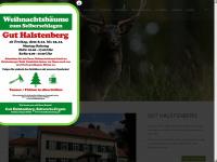 gut-halstenberg.de Webseite Vorschau