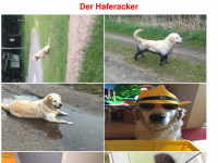 Haferacker.de