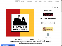 haynerburgfest.de Webseite Vorschau