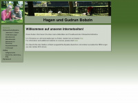 hagen-bobzin.de Webseite Vorschau