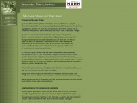 hahn-bs.de Webseite Vorschau