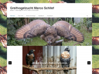 greifvogelzucht.com Webseite Vorschau