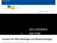 ifmb.uni-bonn.de Webseite Vorschau