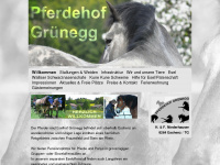 pferdehof-gruenegg.ch Webseite Vorschau