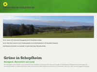gruene-schopfheim.de Webseite Vorschau