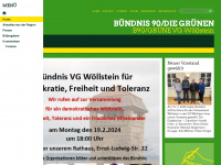 gruene-vg-woellstein.de Webseite Vorschau