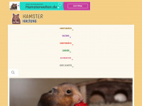 hamster-haltung.de Webseite Vorschau