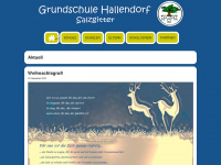 grundschule-hallendorf.de Webseite Vorschau