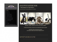 hauptstadthunde.de Webseite Vorschau
