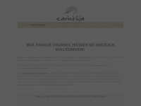haus-carinthia.com Webseite Vorschau