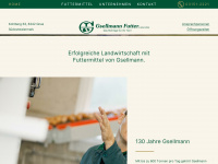 gsellmann.com Webseite Vorschau