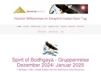 seraphim-institut.de Webseite Vorschau