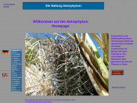 astrophytum.de Webseite Vorschau