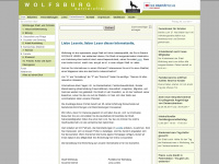 soziales-wolfsburg.de Webseite Vorschau