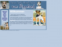 parson-russell-terrier-zuechter.de Webseite Vorschau