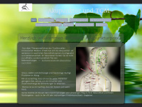 heilkunde-akupunktur.de Webseite Vorschau