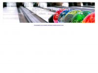 bowling-exclusive.de Webseite Vorschau