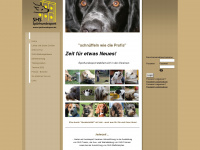 zos-dogs.de Webseite Vorschau