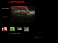 hertelsbox.de Webseite Vorschau