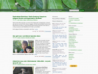 pro-regenwald.de Webseite Vorschau