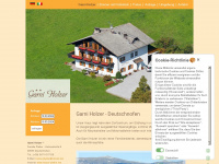 holzer-pfeifer.net Webseite Vorschau