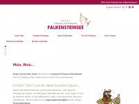 falkensteinsee.de Webseite Vorschau