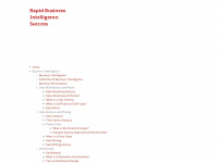 rapid-business-intelligence-success.com