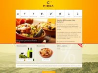 hibex.de Webseite Vorschau