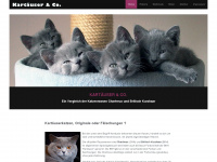 kartaeuser-cha.info Webseite Vorschau