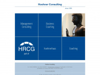 hoehner-consulting.de Thumbnail