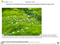 helmutwagner-gartenbau.de Webseite Vorschau