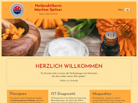 hp-spitzer.de Webseite Vorschau