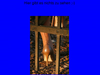 High-heels-inge.de