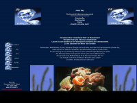 hr-meerwasseraquaristik.de Webseite Vorschau