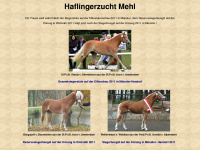 haflingerzucht-mehl.de Thumbnail