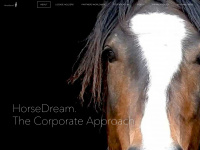 horsedream.com Webseite Vorschau